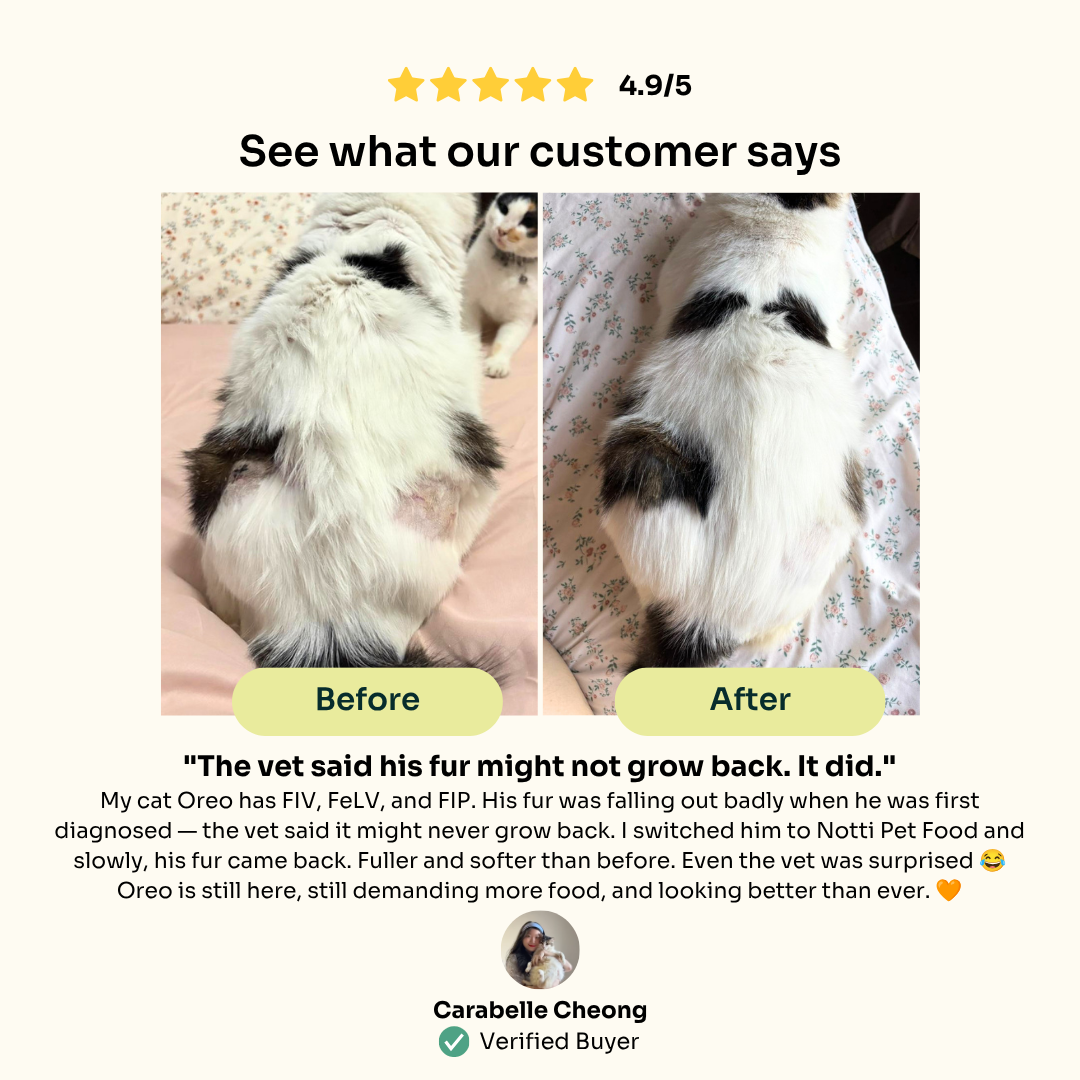 Slow-baked Fresh Chicken & Tuna