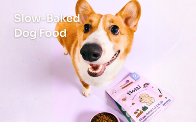 All Products – Notti Pet Food