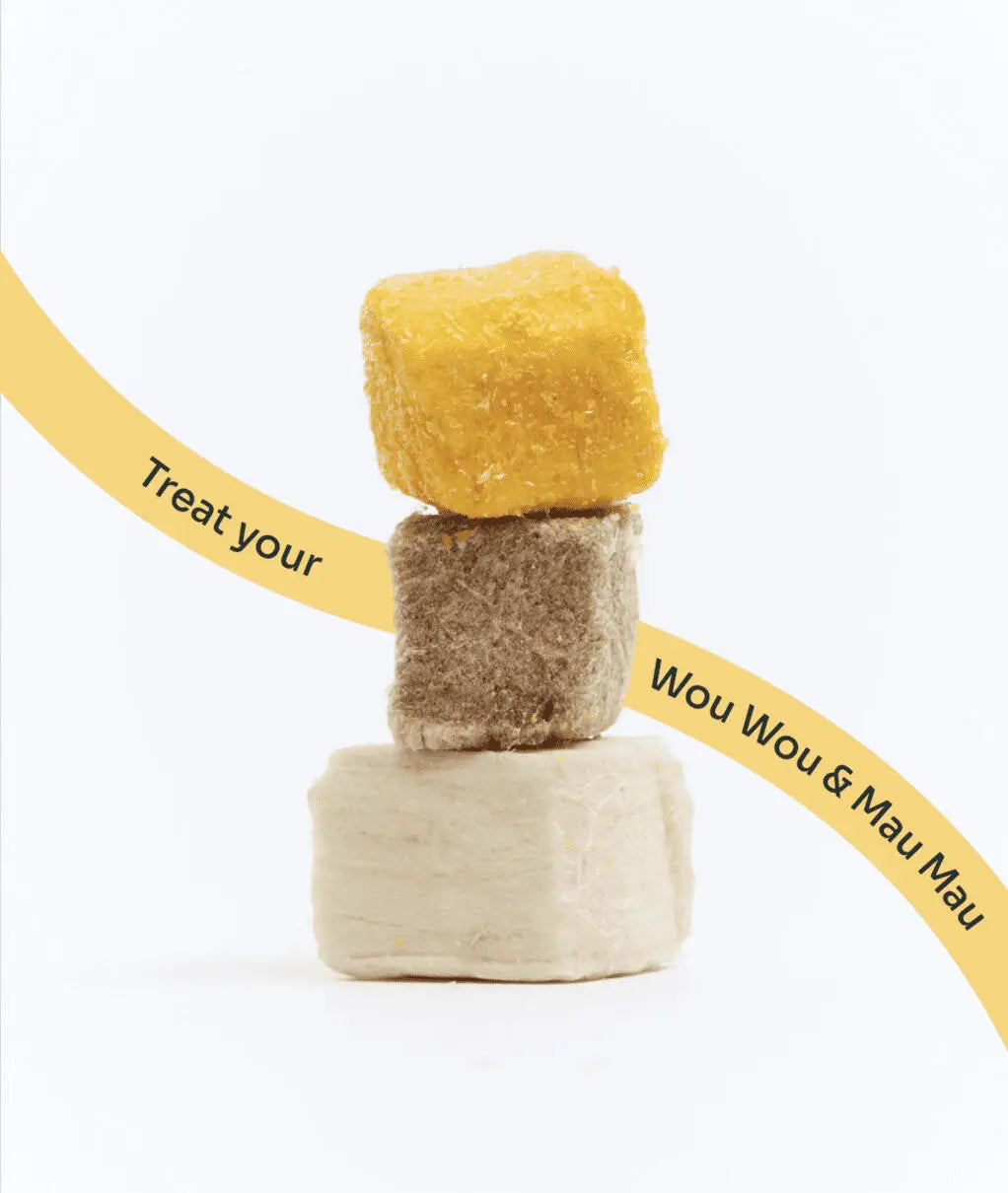 3-in-1 Wild-Caught Marine Omega Freeze-Dried Cubes