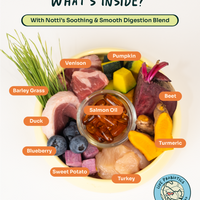 Crunchy-Baked Digest Care Fresh Duck, Venison & Turkey