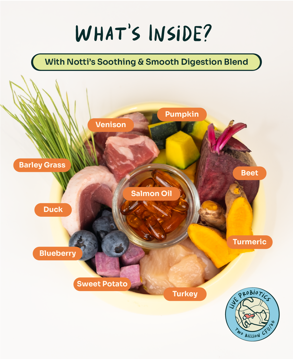 Crunchy-Baked Digest Care Fresh Duck, Venison & Turkey