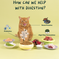 Crunchy-Baked Digest Care Fresh Duck, Venison & Turkey