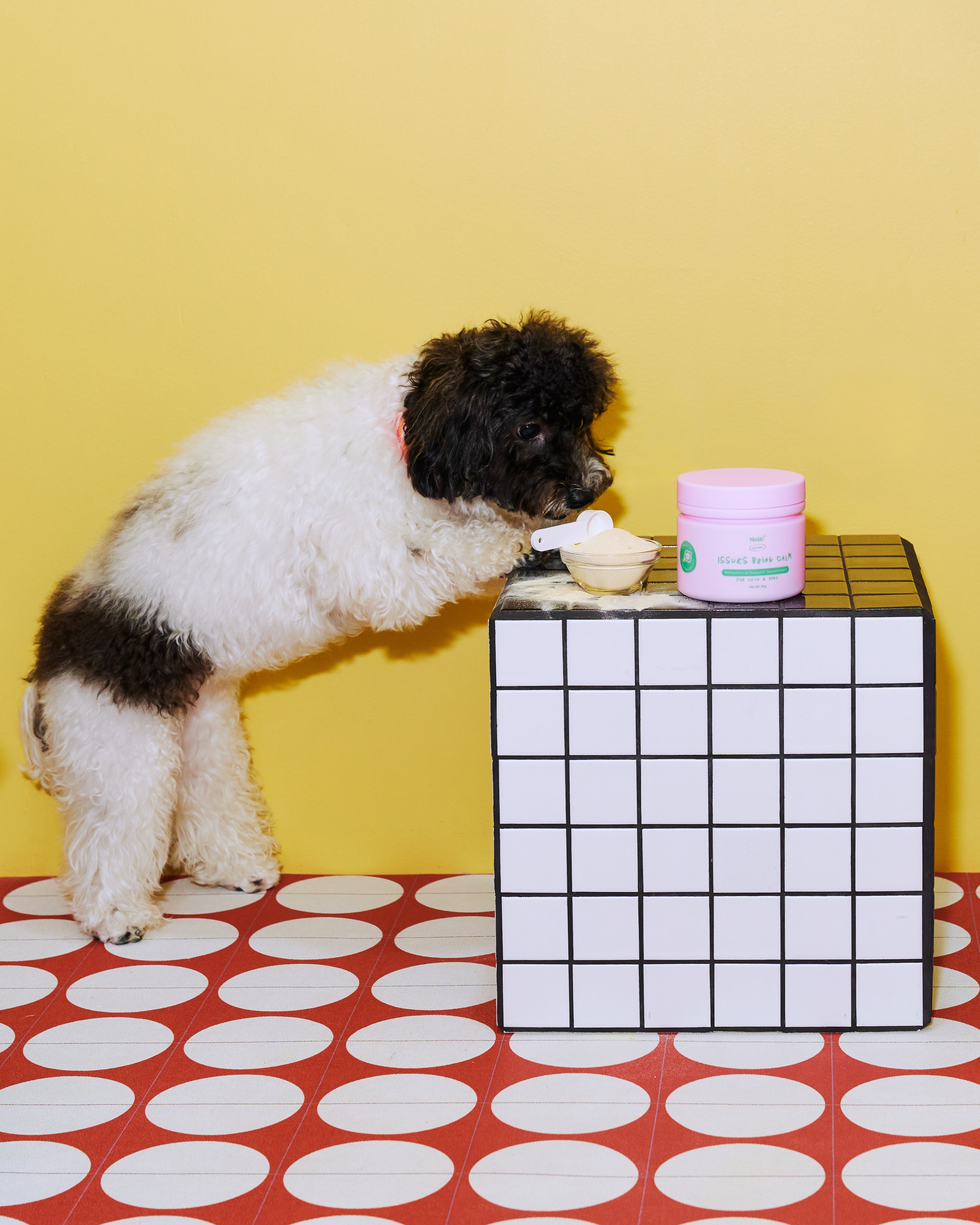 Notti but I Have Issues Being Calm