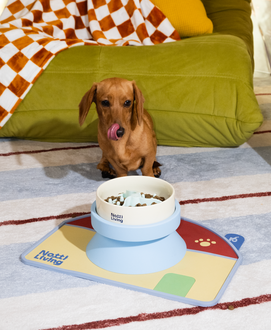 Mealtime Mat