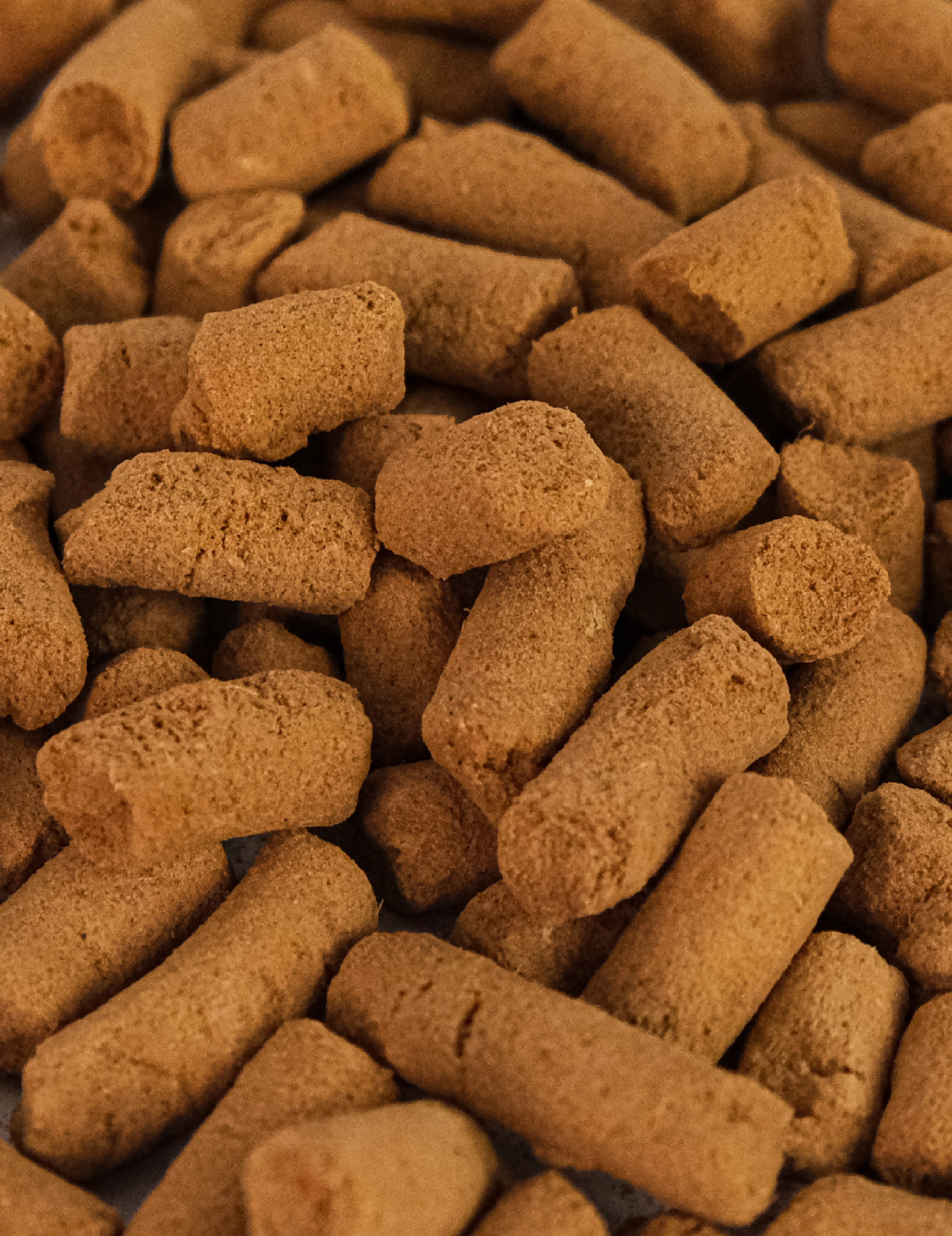 Joint Care Beef & Salmon Freeze-Dried Chunks