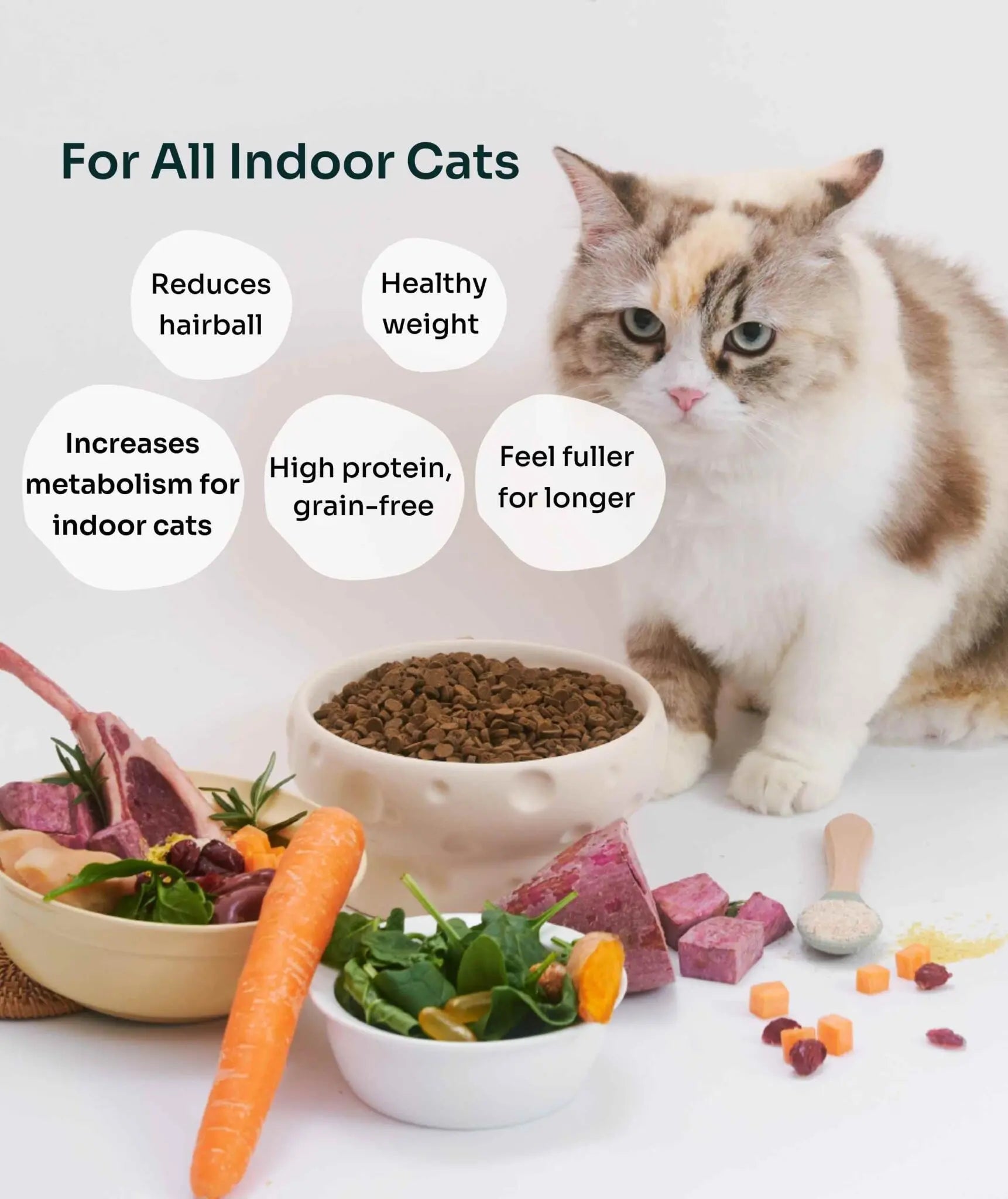 (For Indoor Cats) Slow-Baked Fresh Chicken & Lamb Weight Care image 3