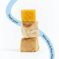 New Dog Pawrent Kit image 4