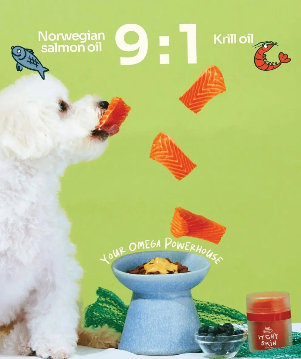 Notti But I Have Itchy Skin image 5