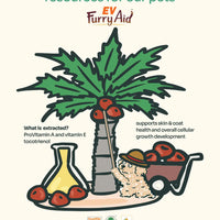 Skin Soothe Supplement Bundle image 7