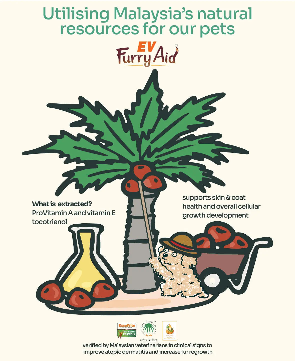 Skin Soothe Supplement Bundle image 7