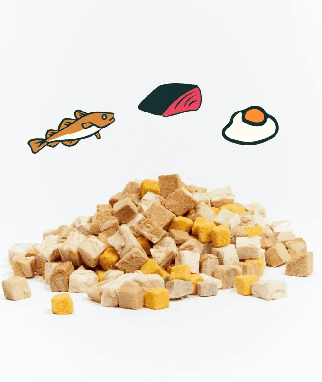 (10g) 3-in-1 Wild-Caught Marine Omega Freeze-Dried Cubes Trial Pack image 1