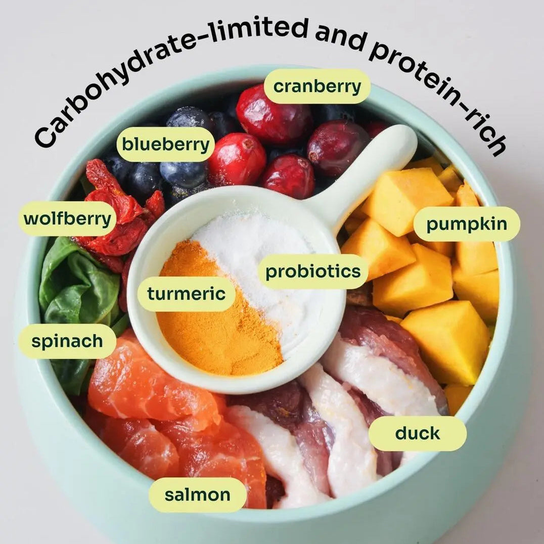 Allergy Care Slow-Baked Fresh Duck & Salmon image 6