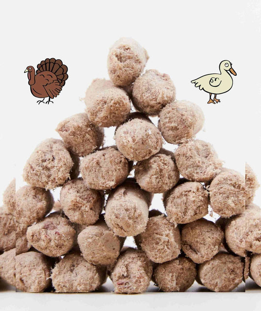 2-in-1 Allergy Care Turkey & Duck Freeze-Dried Chunks image 0