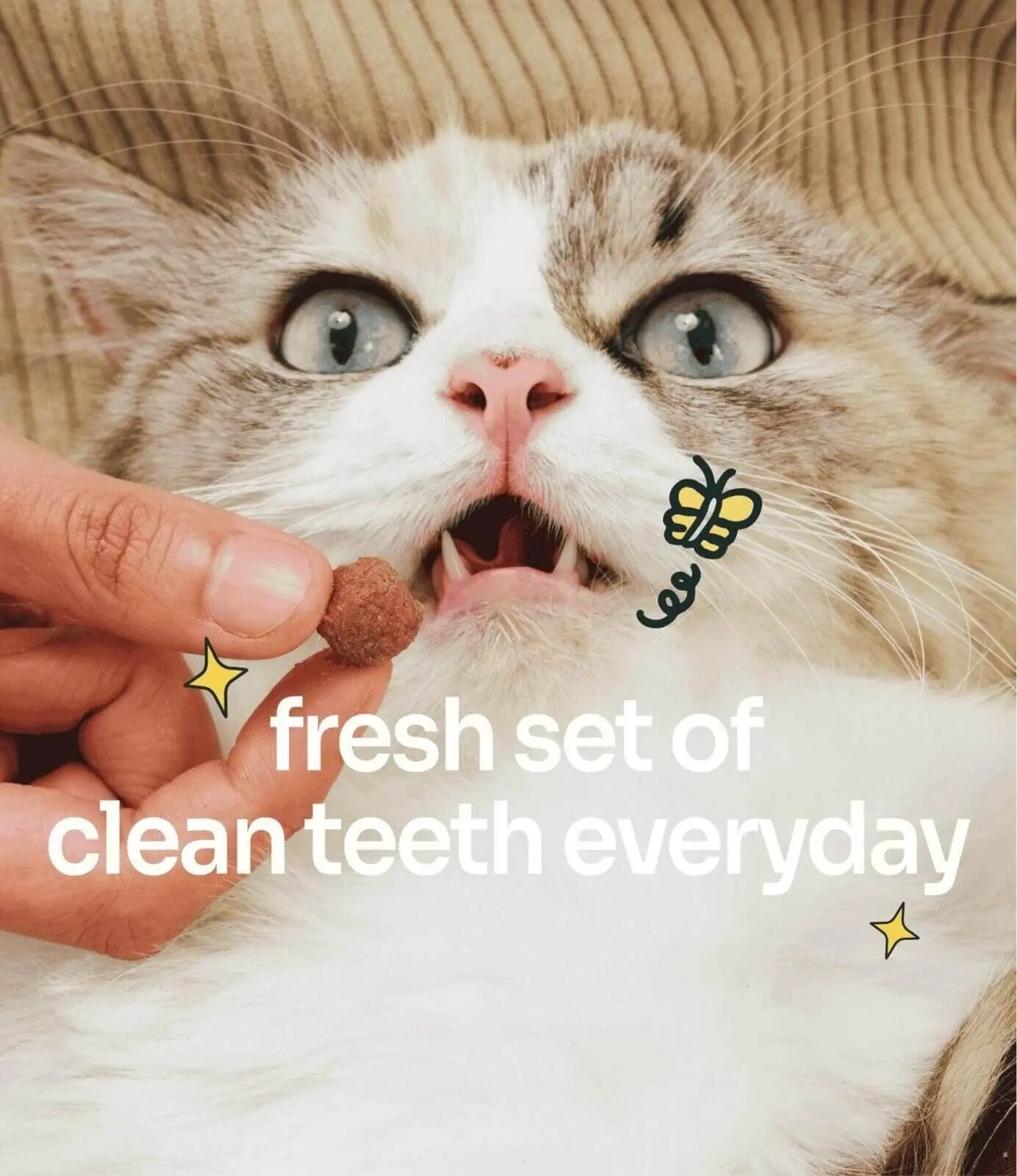 Mau Mau Plaque Control Dental Crunch (For Cats) image 4