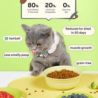 New Cat Pawrent Kit image 3