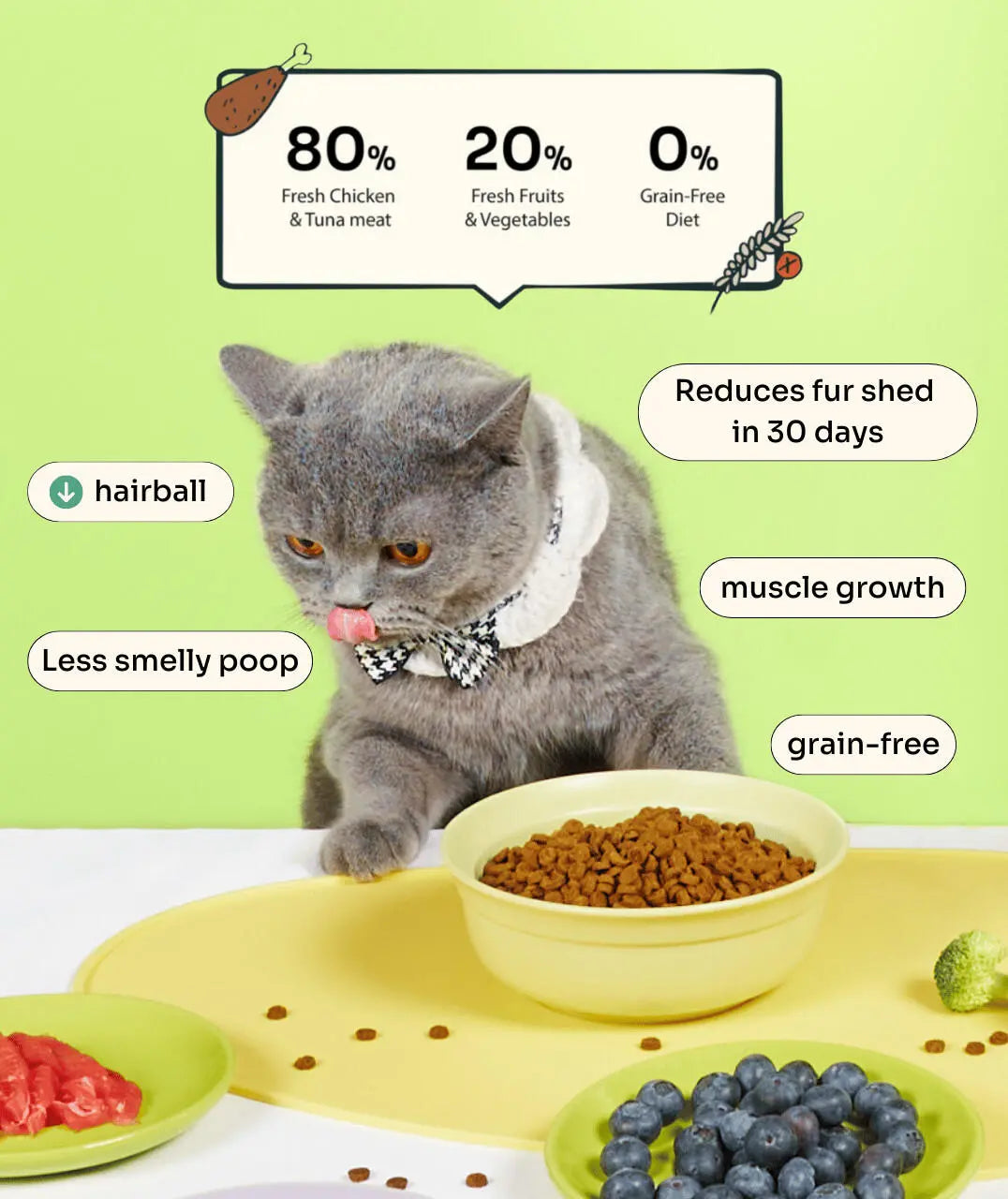 New Cat Pawrent Kit image 3