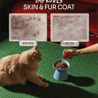 Notti But I Have Itchy Skin image 8