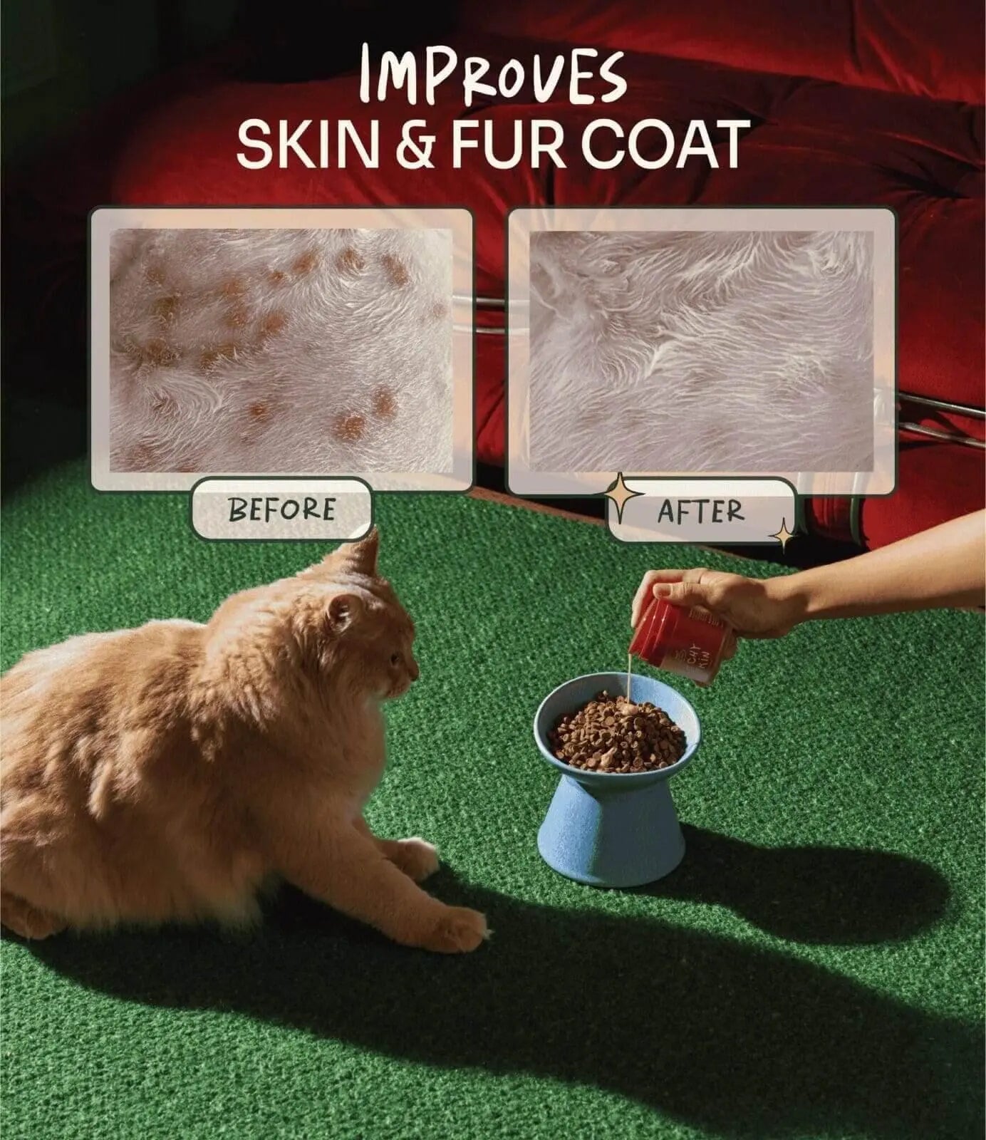 Notti But I Have Itchy Skin image 8