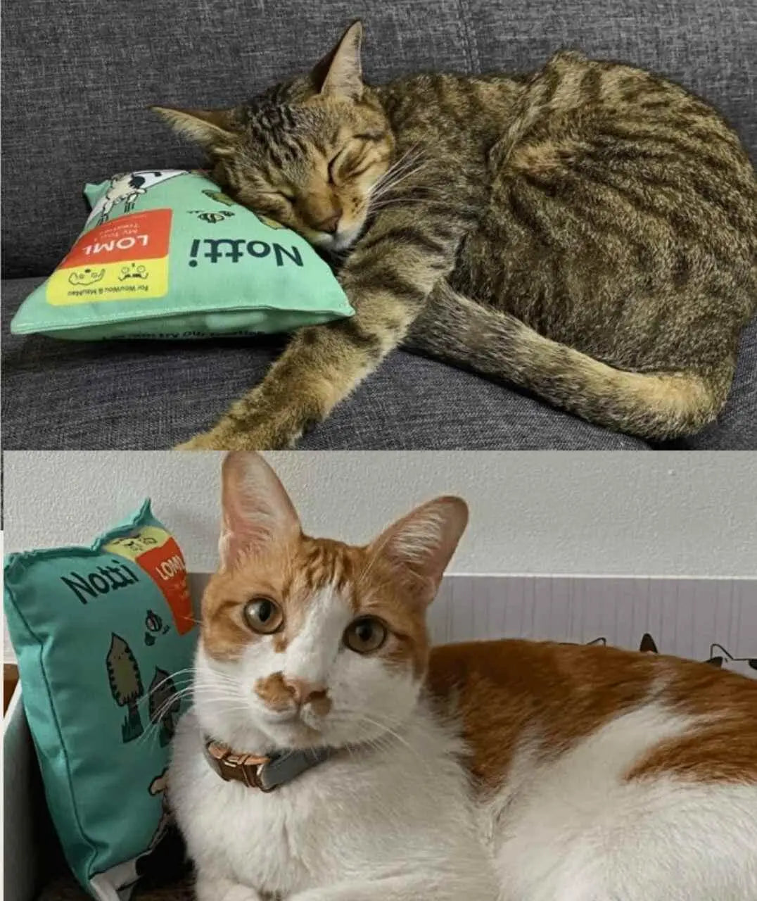 It's Snack Time! Plushie (Limited Edition) image 2