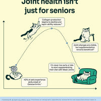 Notti But I Have Weak Joints