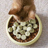 ActivePlay Catnip Freeze-Dried Chunks image 4