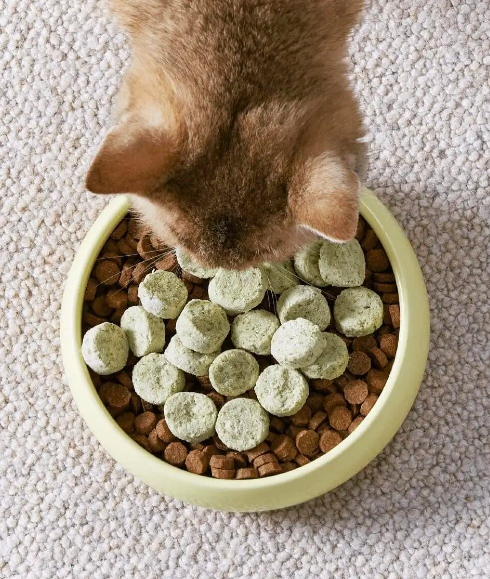 ActivePlay Catnip Freeze-Dried Chunks image 4