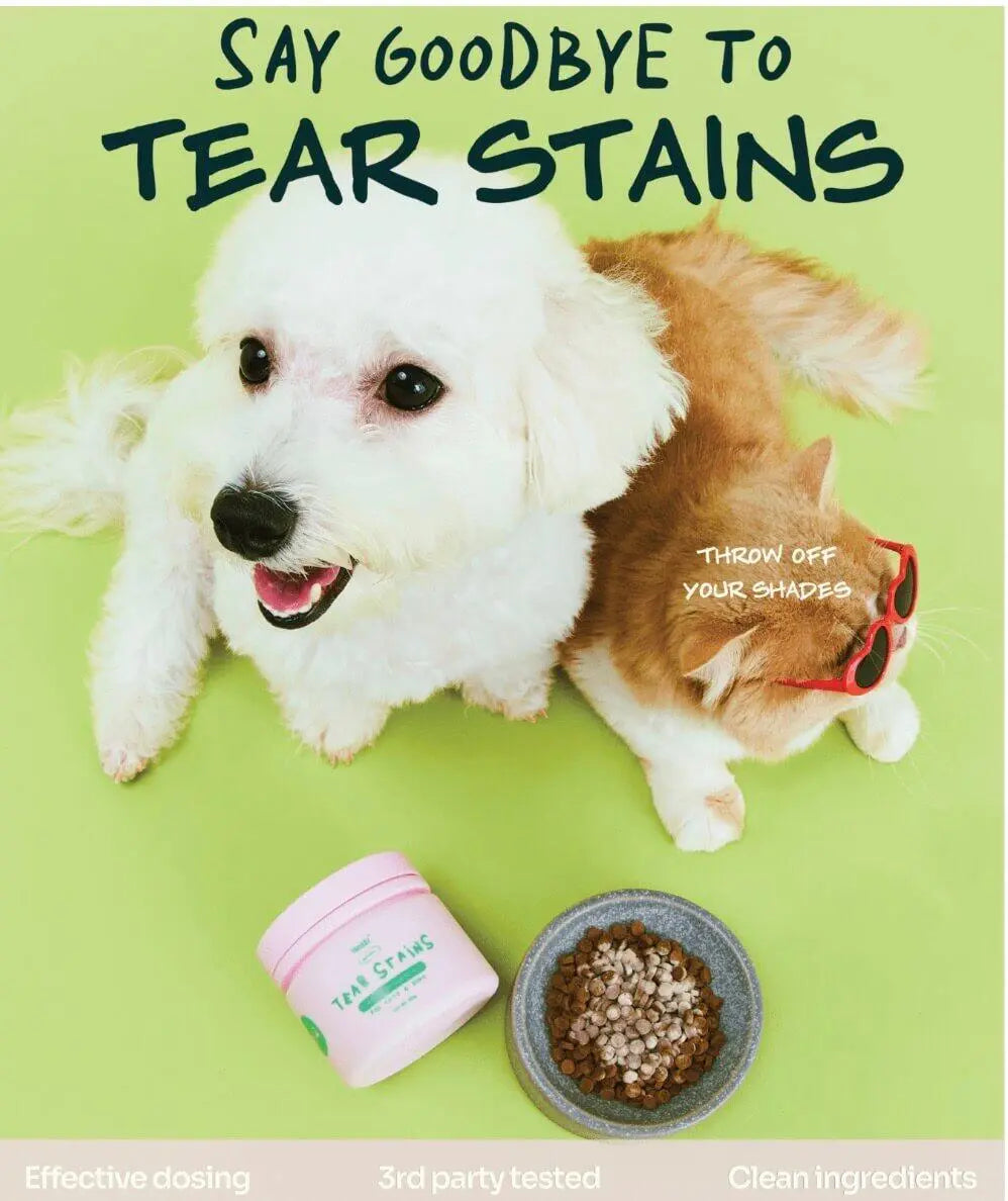 Notti But I Have Tear Stains image 8