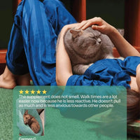 Notti but I Have Issues Being Calm image 6