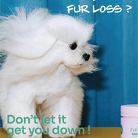 Notti but I Have Fur Loss image 1