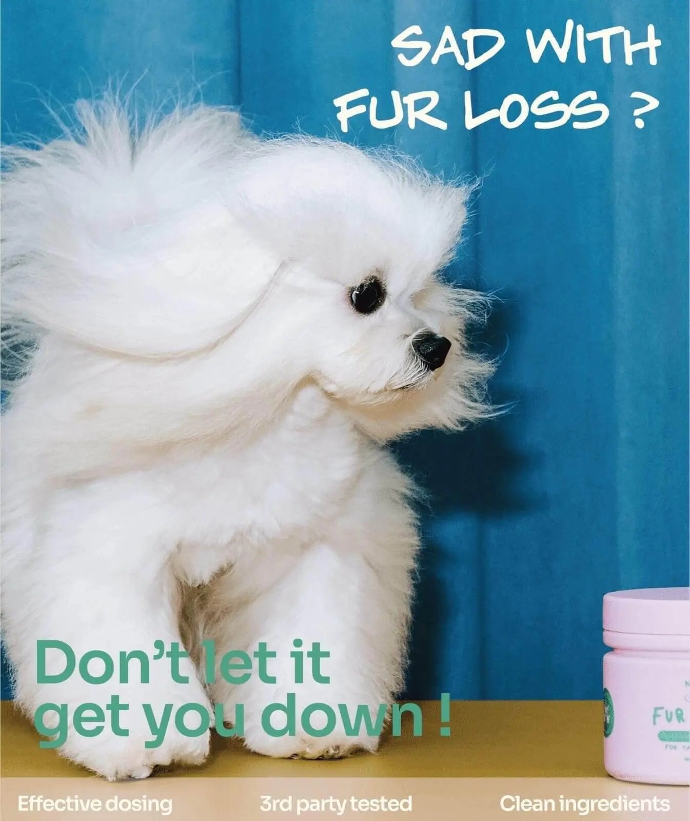 Notti but I Have Fur Loss image 1