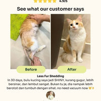 Slow-Baked Fresh Chicken & Tuna Trial Kit image 4