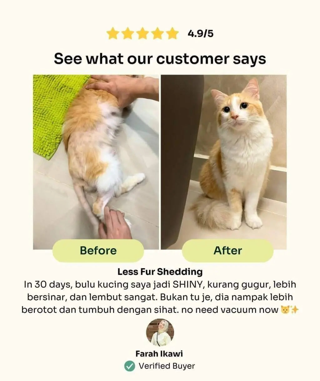 Slow-Baked Fresh Chicken & Tuna Trial Kit image 4