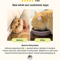 New Cat Pawrent Kit image 4