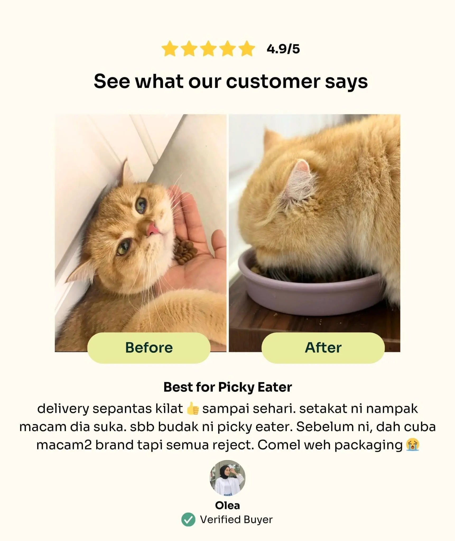 New Cat Pawrent Kit image 4