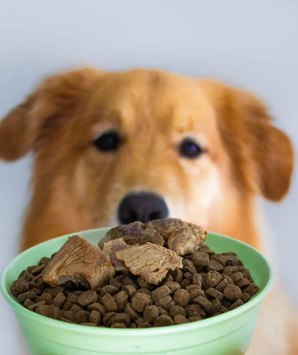 Grass-Fed Baked Buffalo Tenderloin image 4