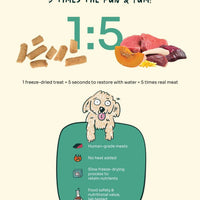 Stool Regulator Duck, Venison, Beef Freeze-Dried Chunks image 4