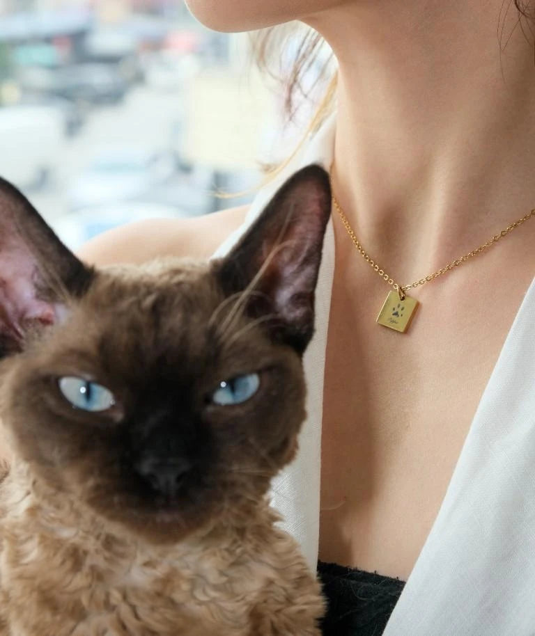 Notti x Gung Made To Last Paw Print Necklace image 1