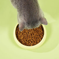 Slow-Baked Fresh Chicken & Tuna Trial Kit image 5