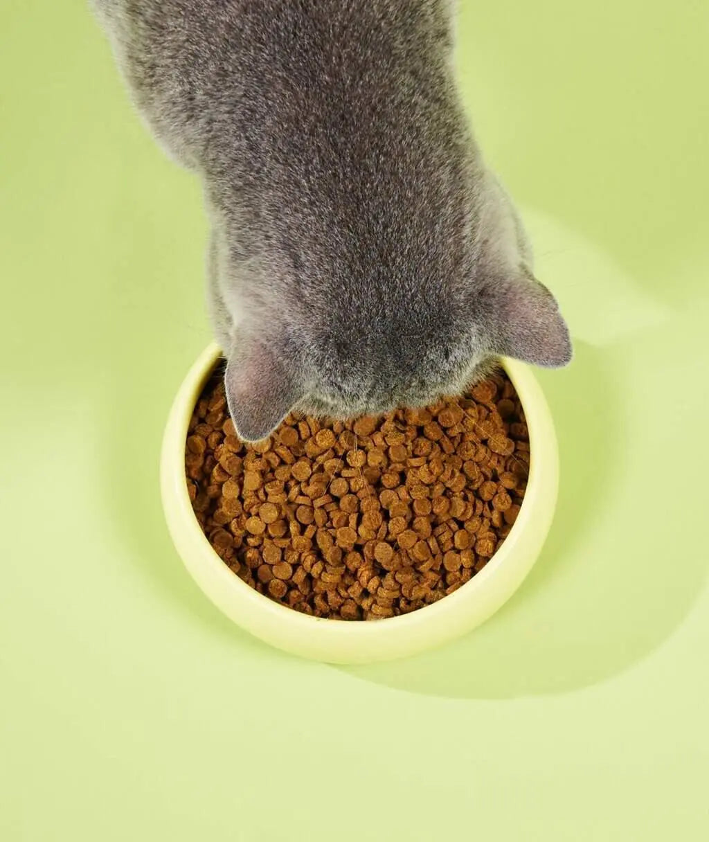 Slow-Baked Fresh Chicken & Tuna Trial Kit image 5