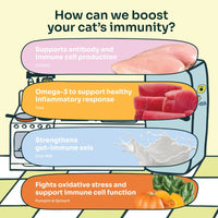 Immunity Meaty Paté (Cat Wet Food)