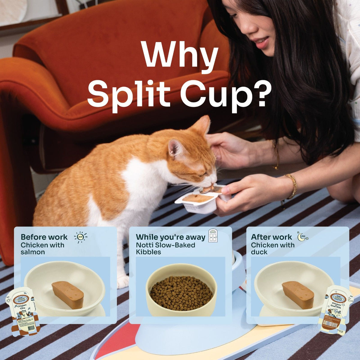 Immunity Meaty Paté (Cat Wet Food)