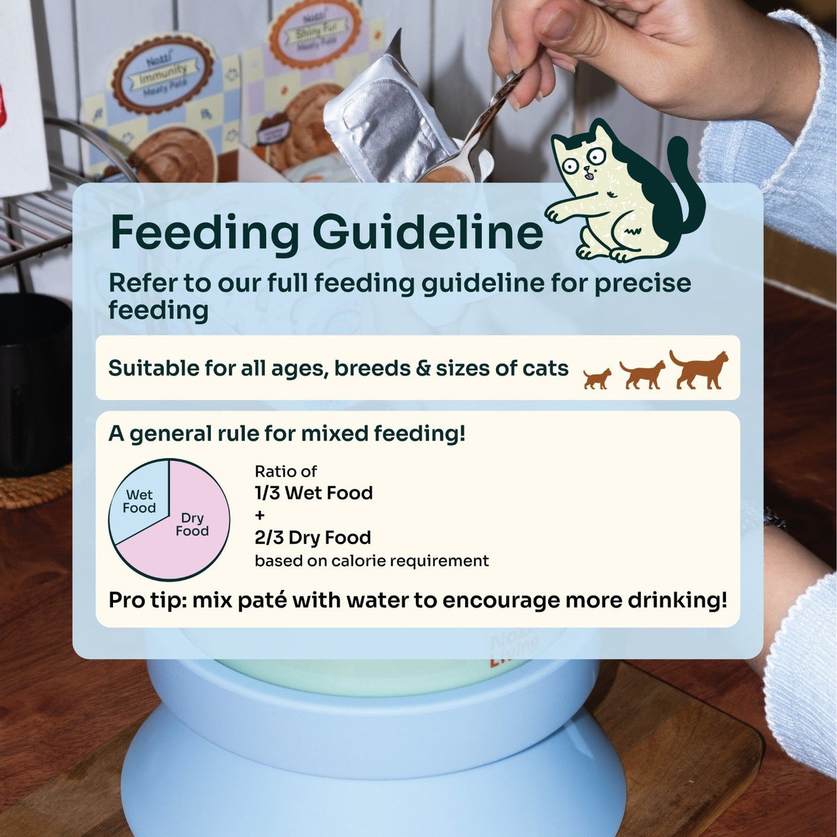 Immunity Meaty Paté (Cat Wet Food)