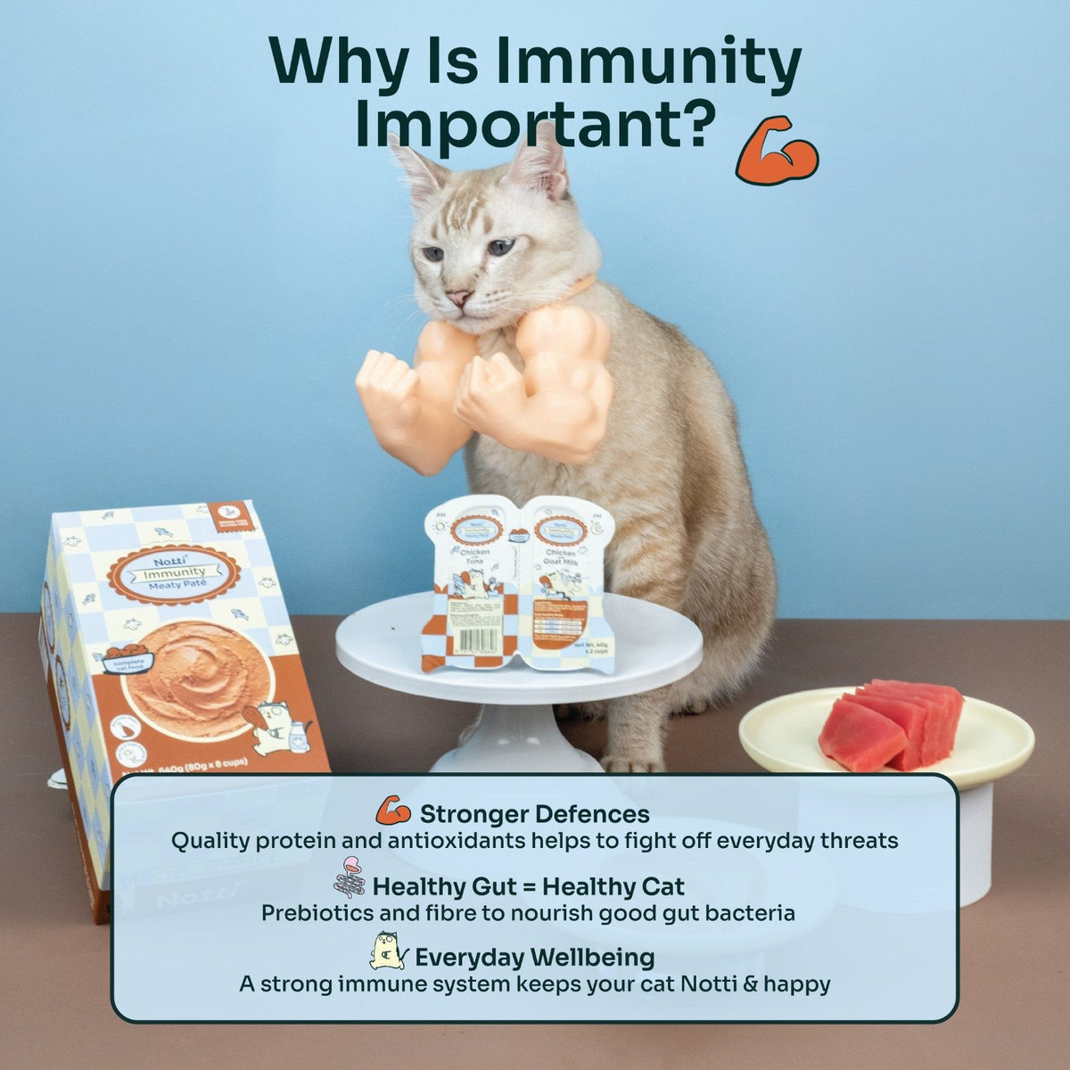Immunity Meaty Paté (Cat Wet Food)