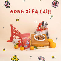 Huat Ah! Air-Dried Beef & Fish Chips