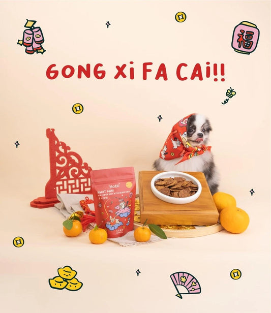 Huat Ah! Air-Dried Beef & Fish Chips