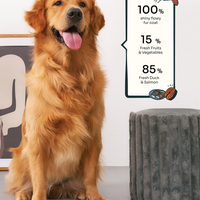 New Dog Pawrent Kit