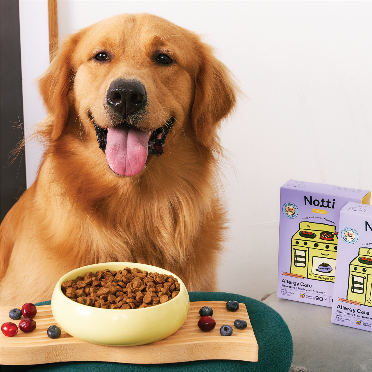 Allergy Care Slow-Baked Fresh Duck & Salmon Trial Kit