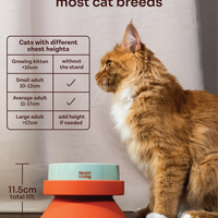 001 Pet Food Bowl Stand