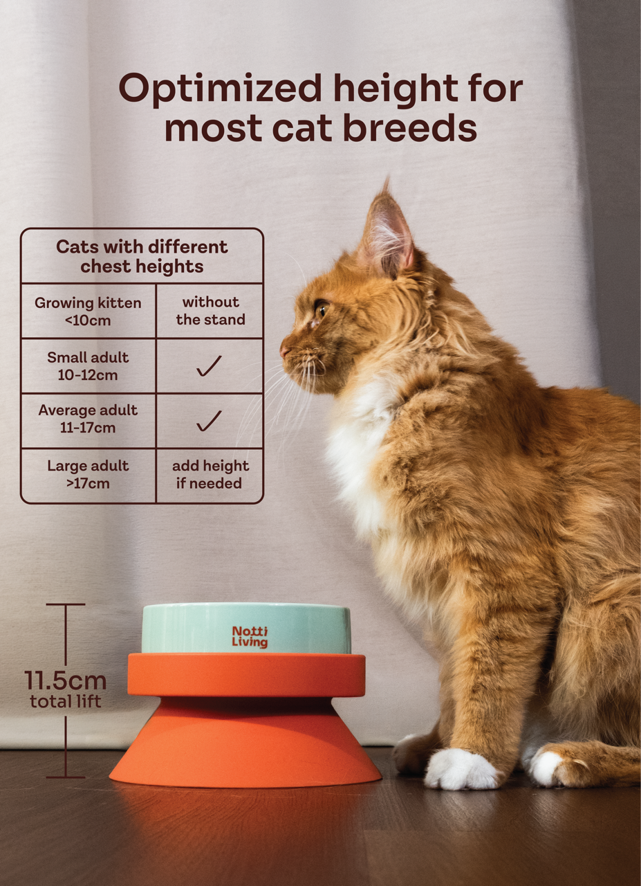 001 Pet Food Bowl Stand