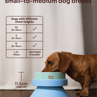 001 Pet Food Bowl Stand